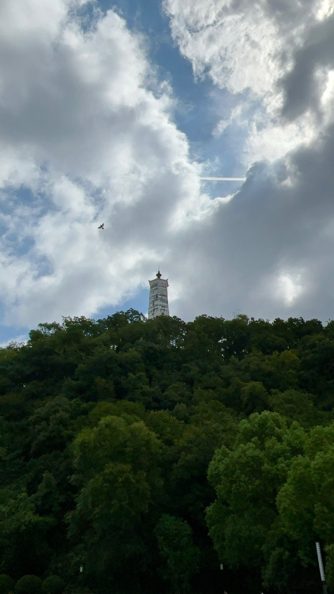 9月 仔细看，有座天梯 202409