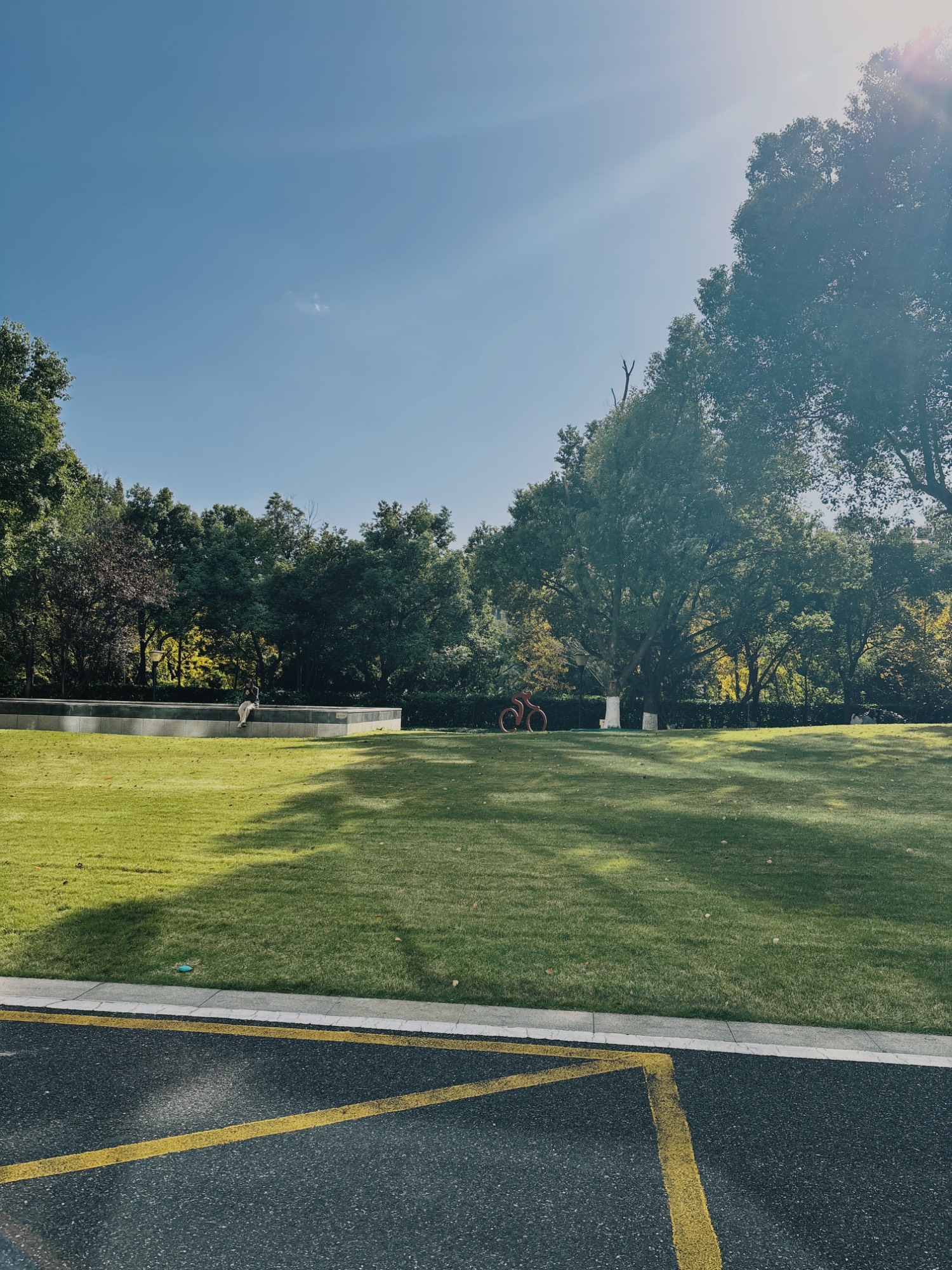 11月28日天凉了，中午阳光很温暖 202411