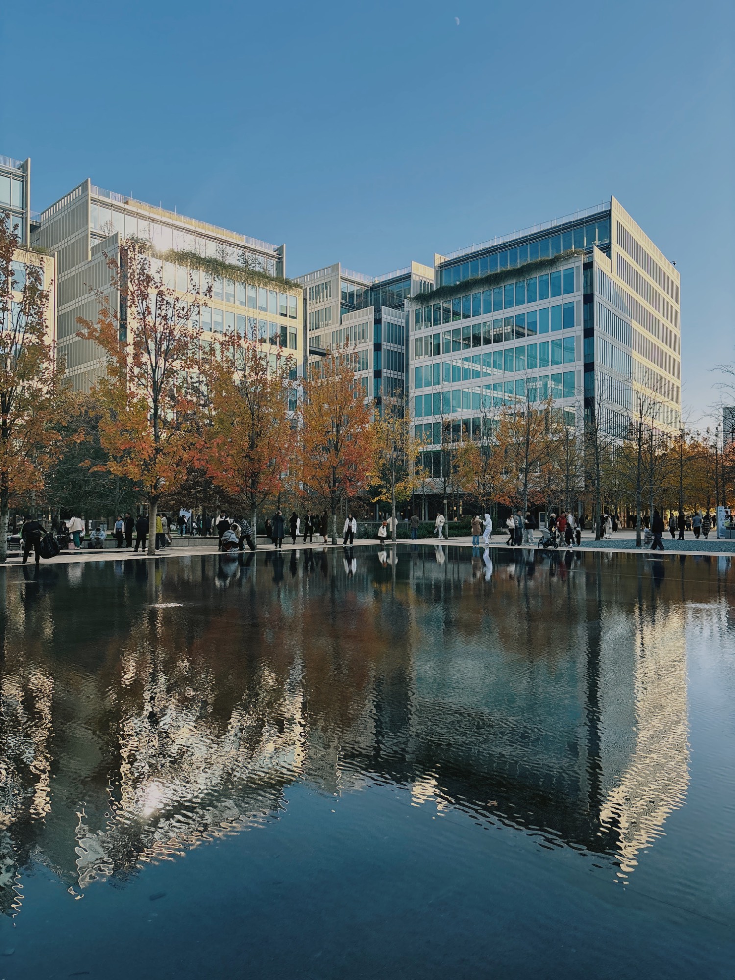 12月8日 天目里的秋天 202412