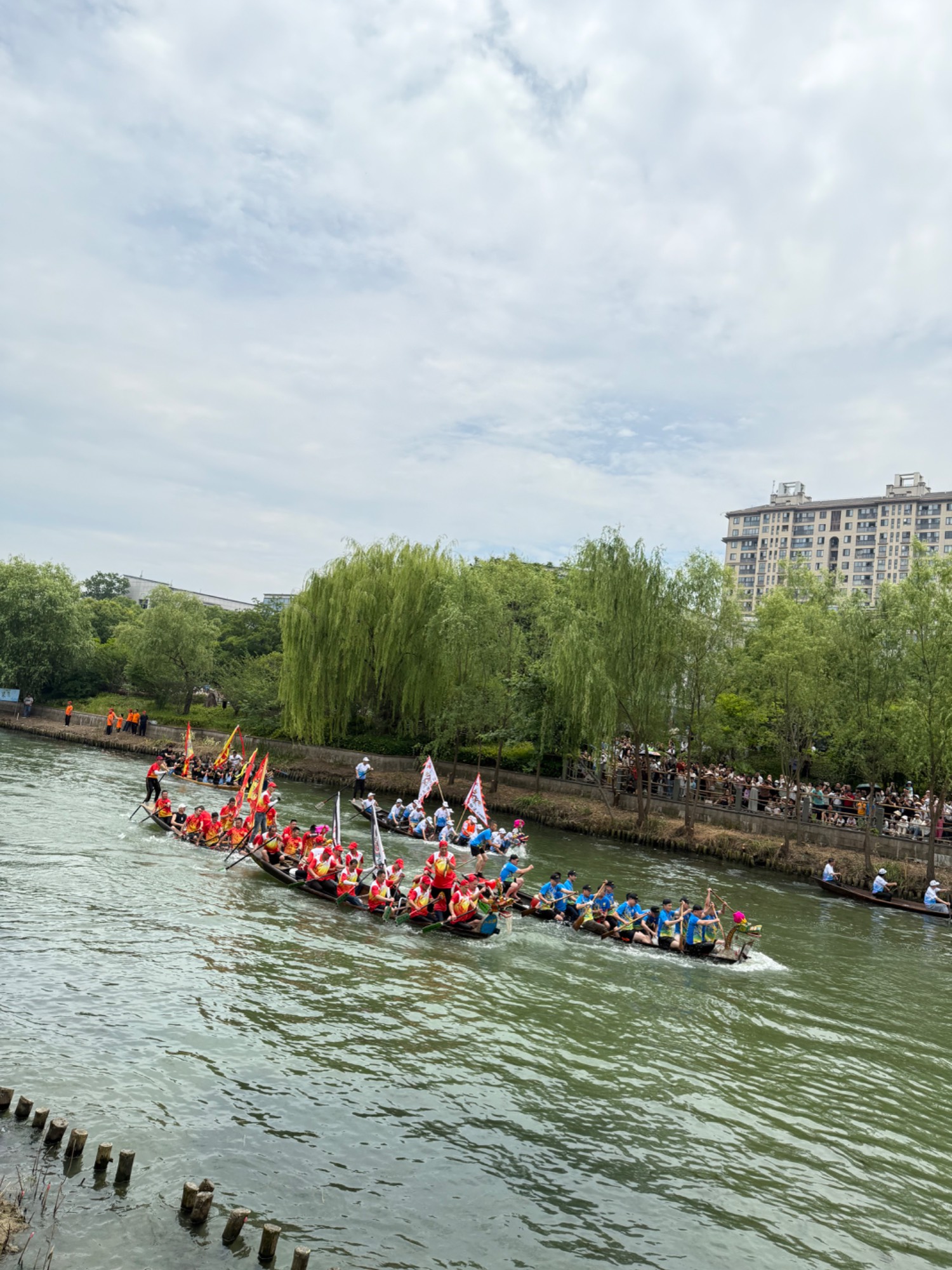 5.31端午龙舟 202505